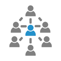 Coördinatie/begeleiding projecten